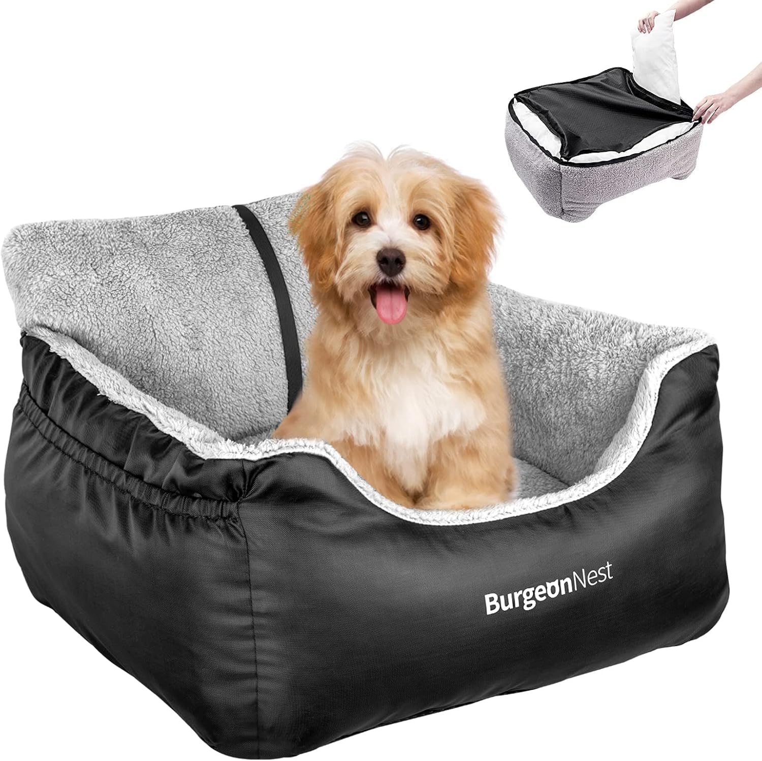Car-Seat-Burgeon-main.jpg