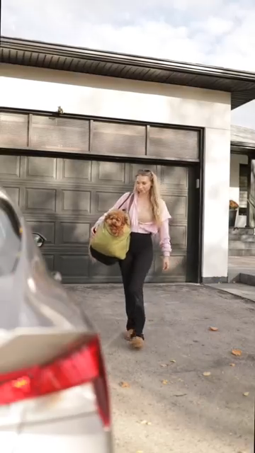 Car-Seat-Med-Small-Carrier-Funny-Fuzzy.png