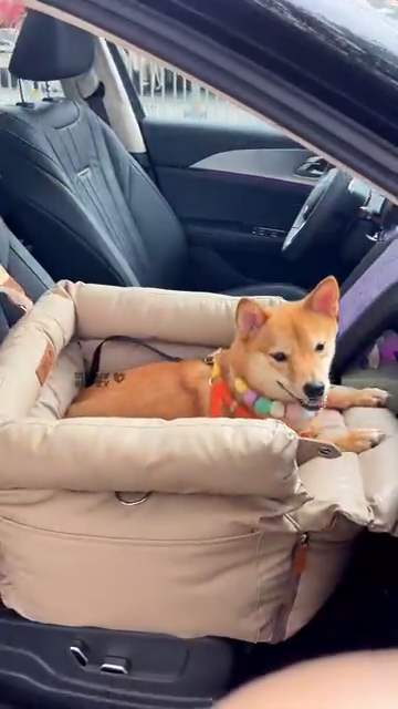 Car-Seat-Med-Small-Front-Seat-Fuzzy.png