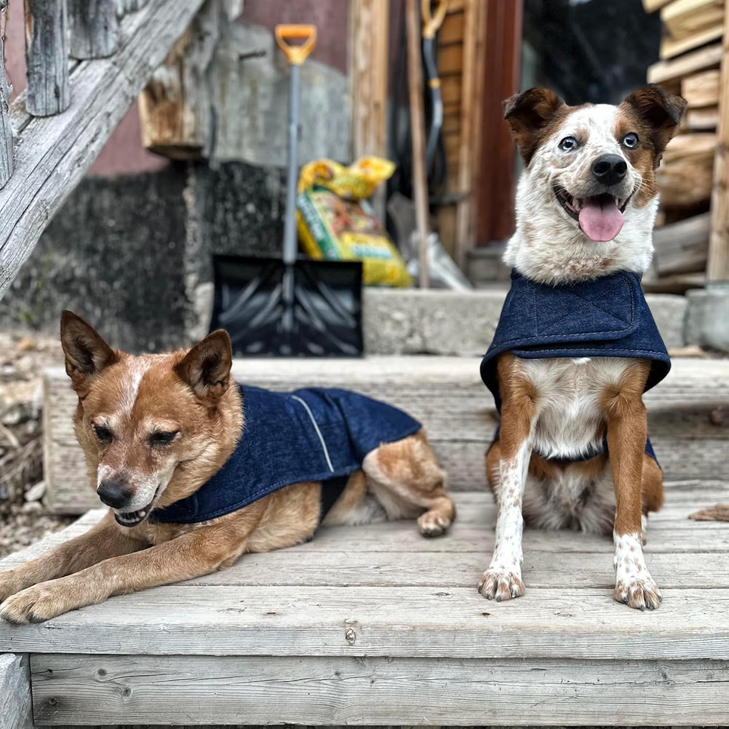 Carhartt-Duck-6.jpg