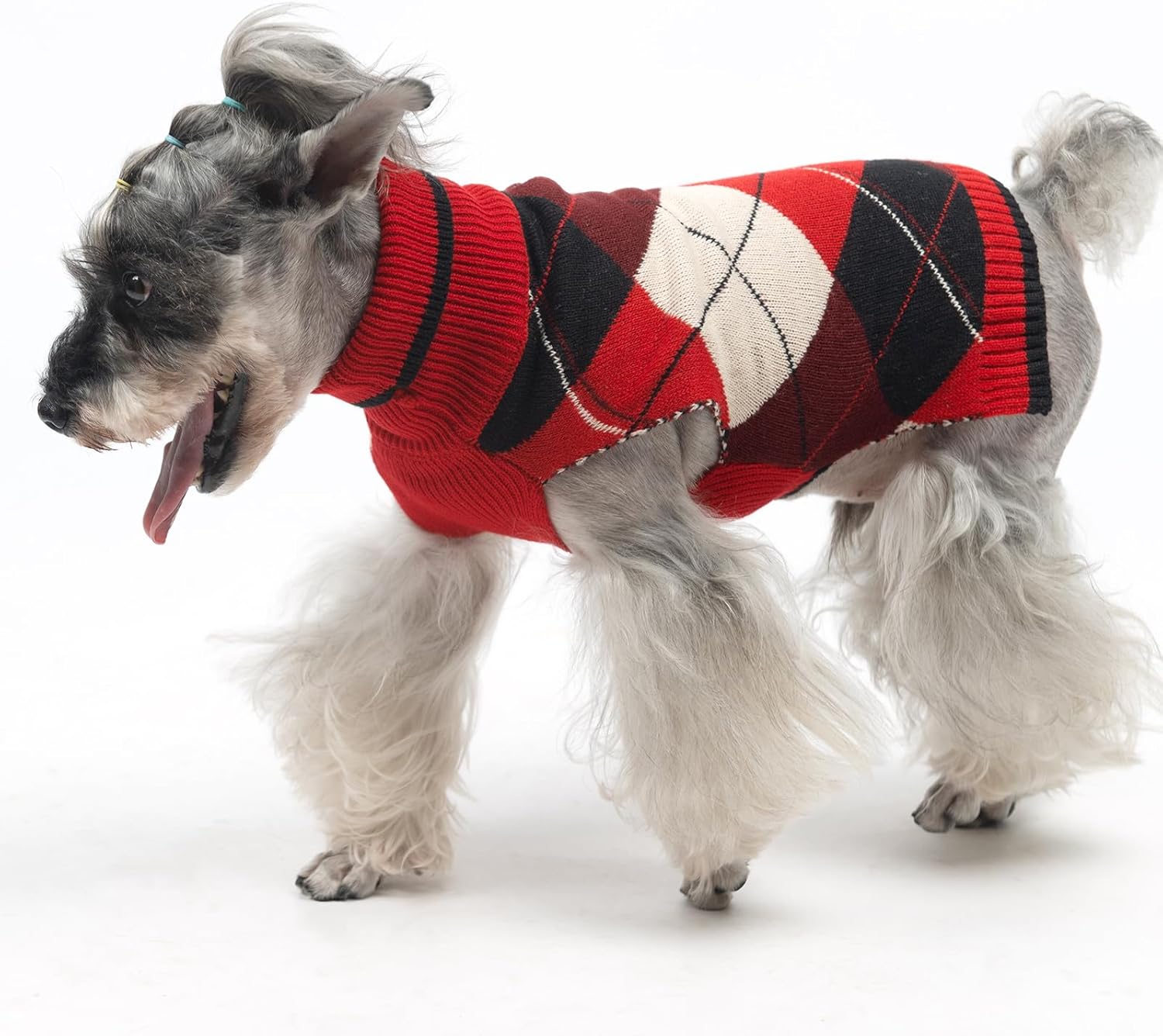 KOOLTAIL-Dog-Sweater-6.jpg