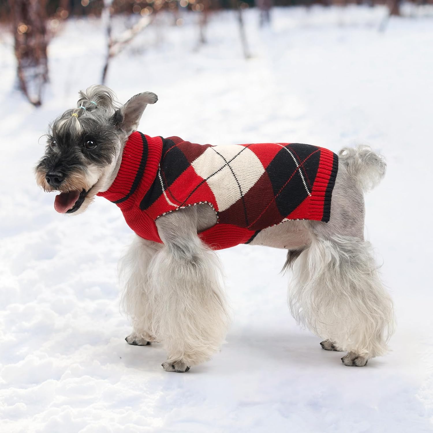 KOOLTAIL-Dog-Sweater-8.jpg