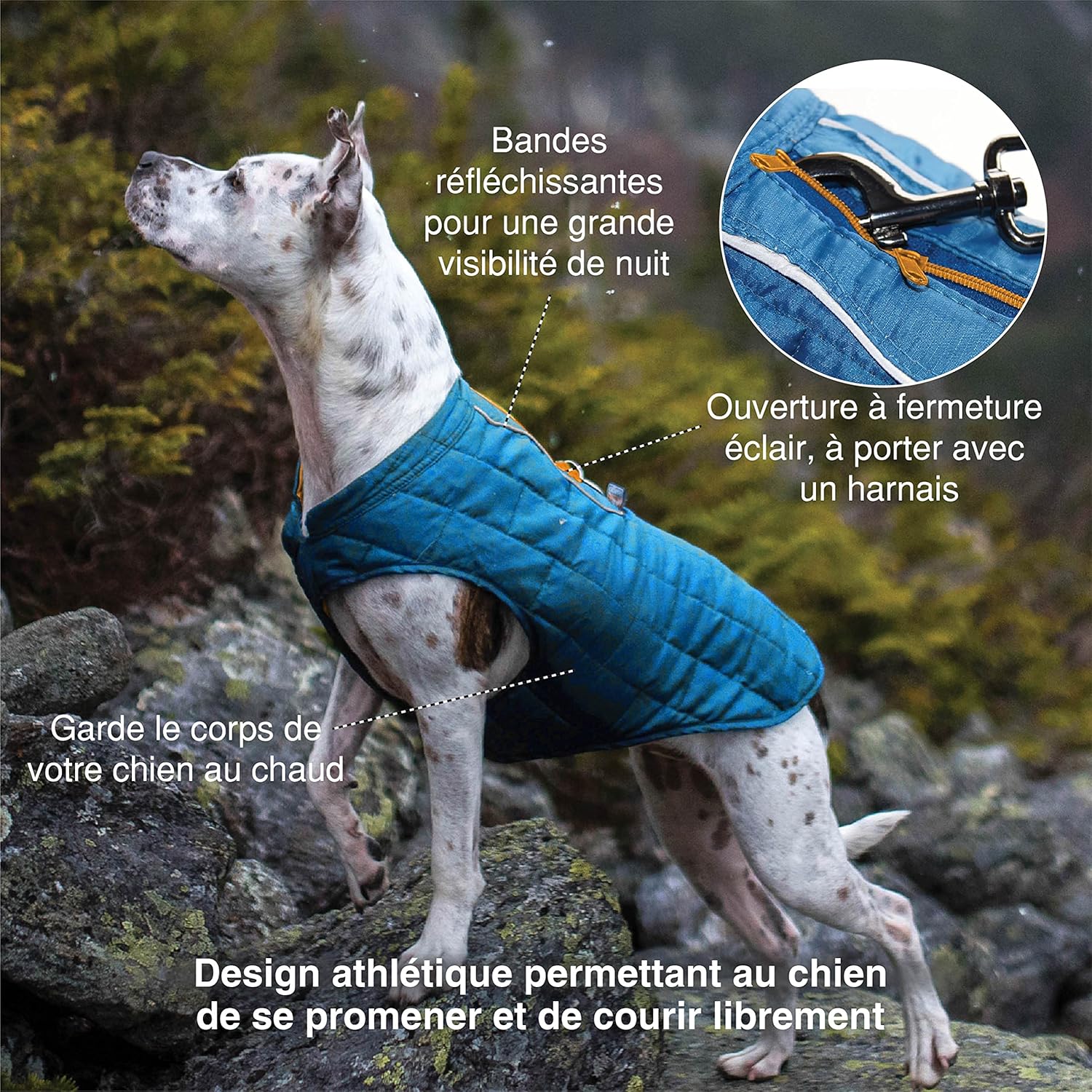 Kurgo-Jacket-3.jpg