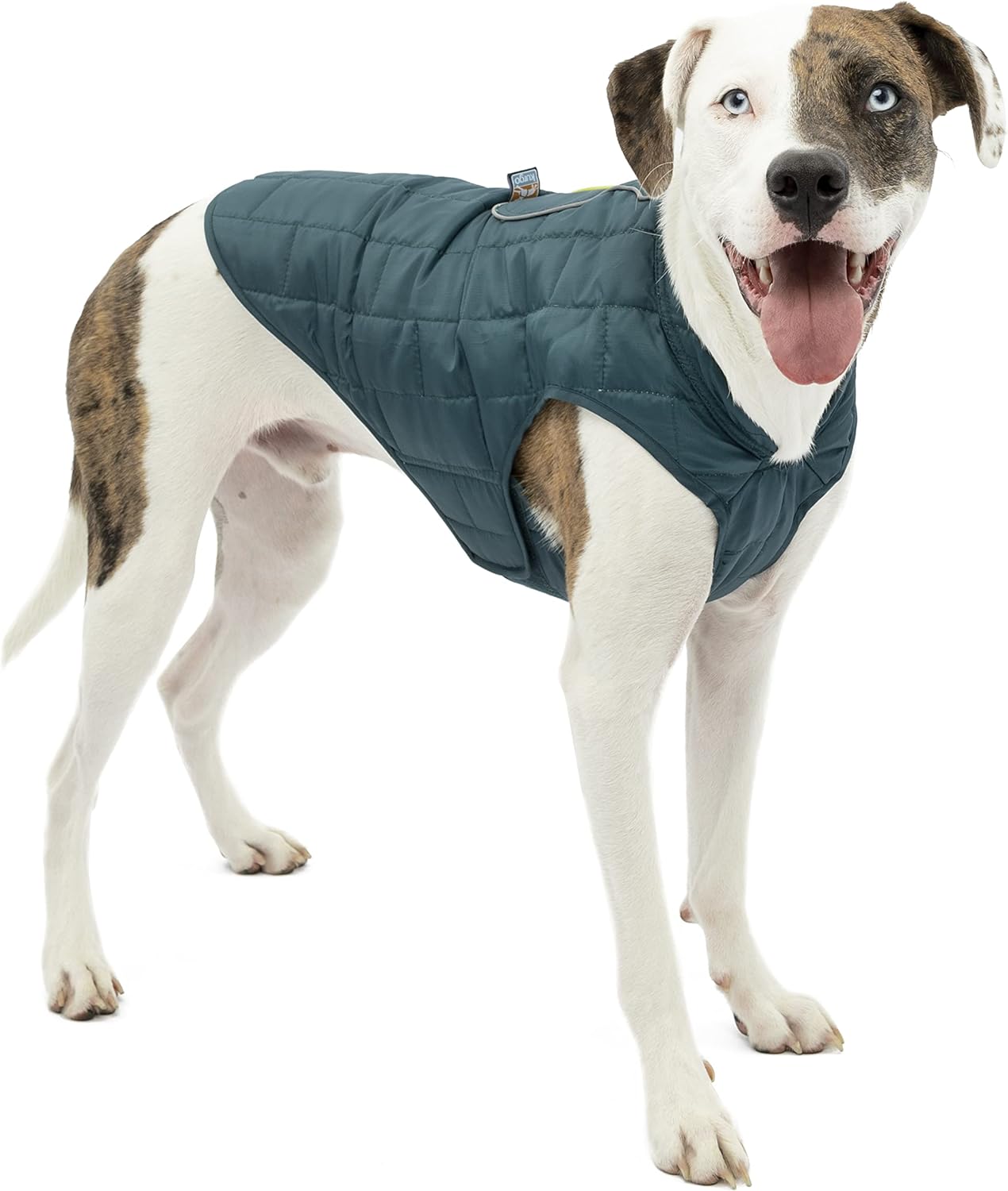 Kurgo-Jacket-main-1.jpg