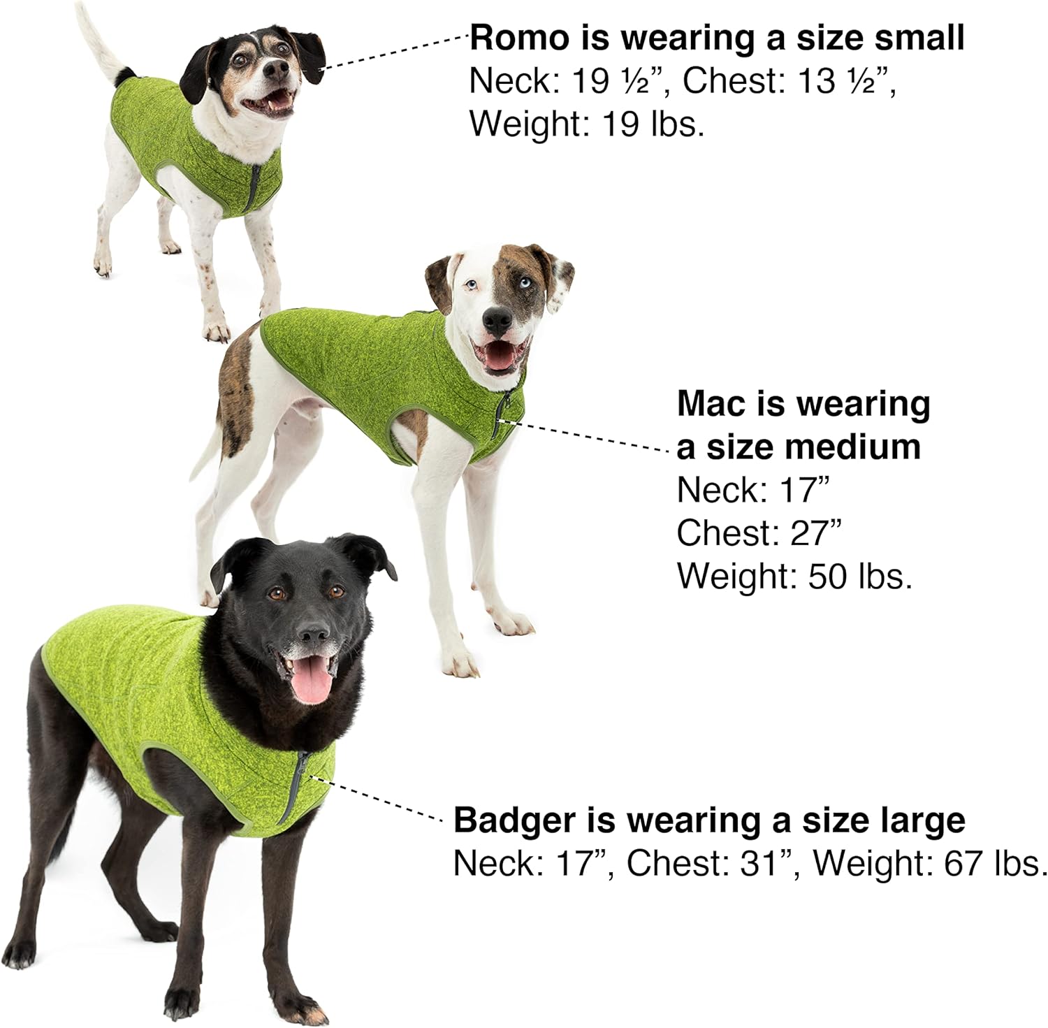 Kurgo-sweater-large-8.jpg