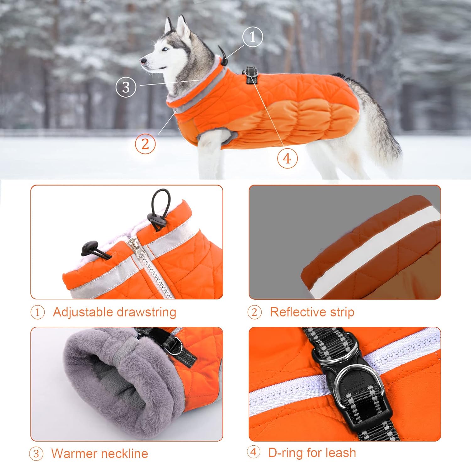 Lelepet-coat-3.jpg