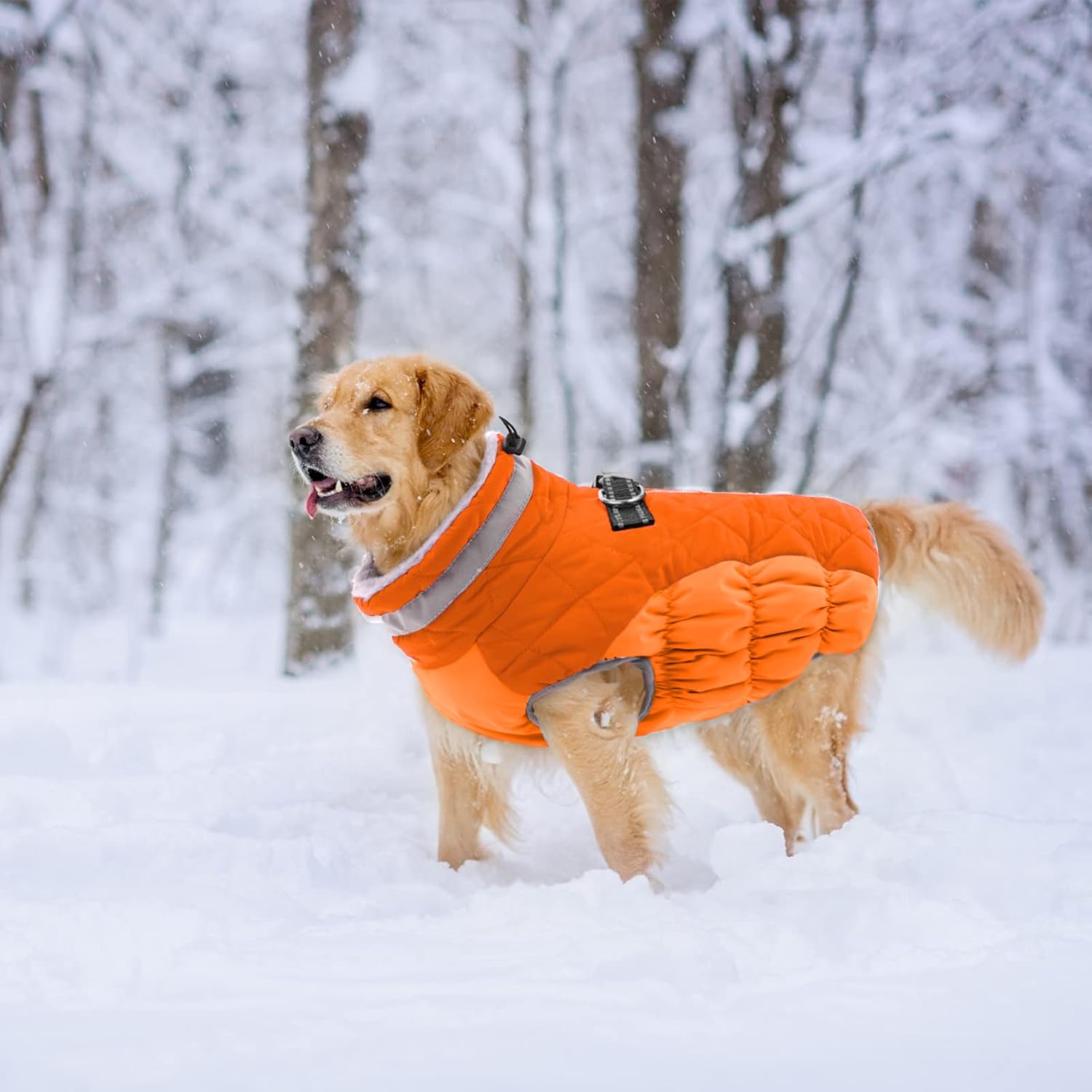Lelepet-coat-7.jpg