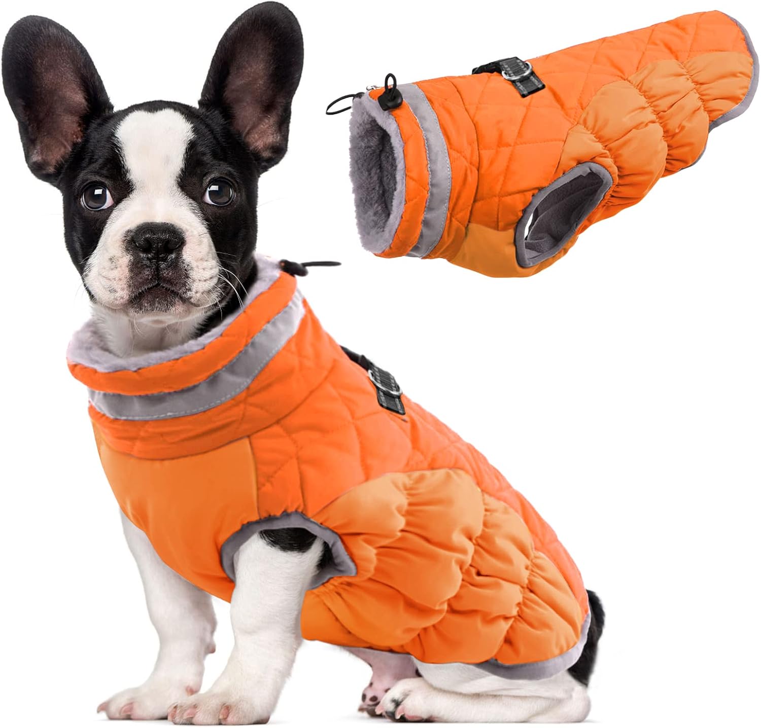 Lelepet-coat-main-1.jpg
