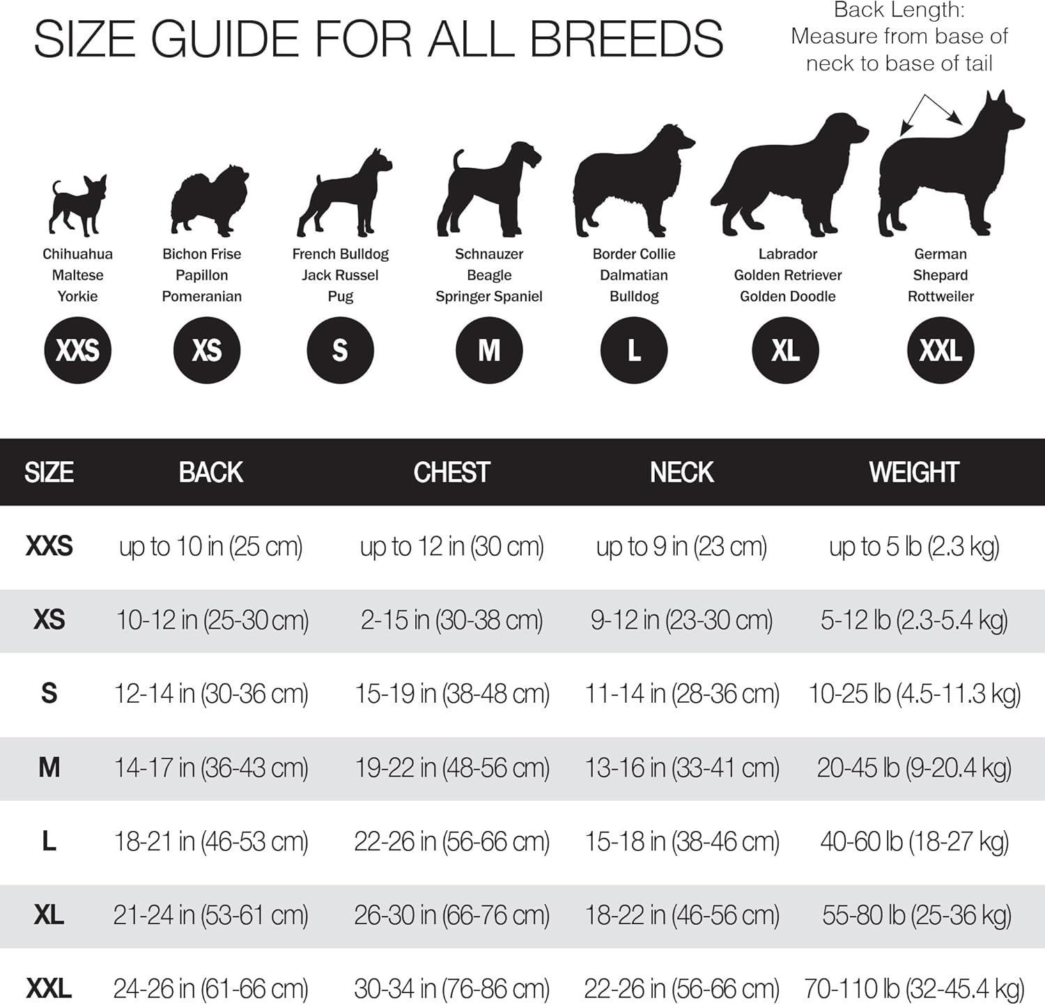 Pet-Passion-hoodie-4.jpg