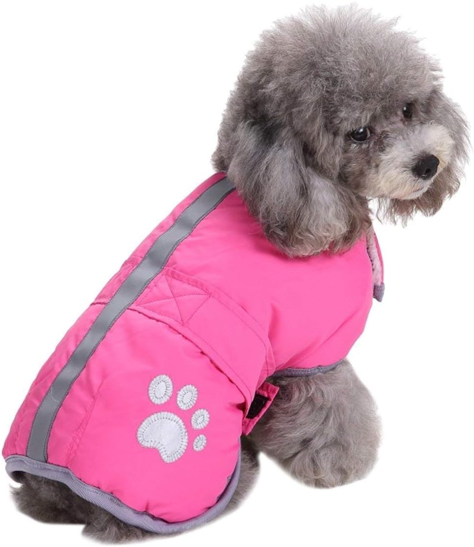 Queenmore-Coat-small-pink-main.jpg