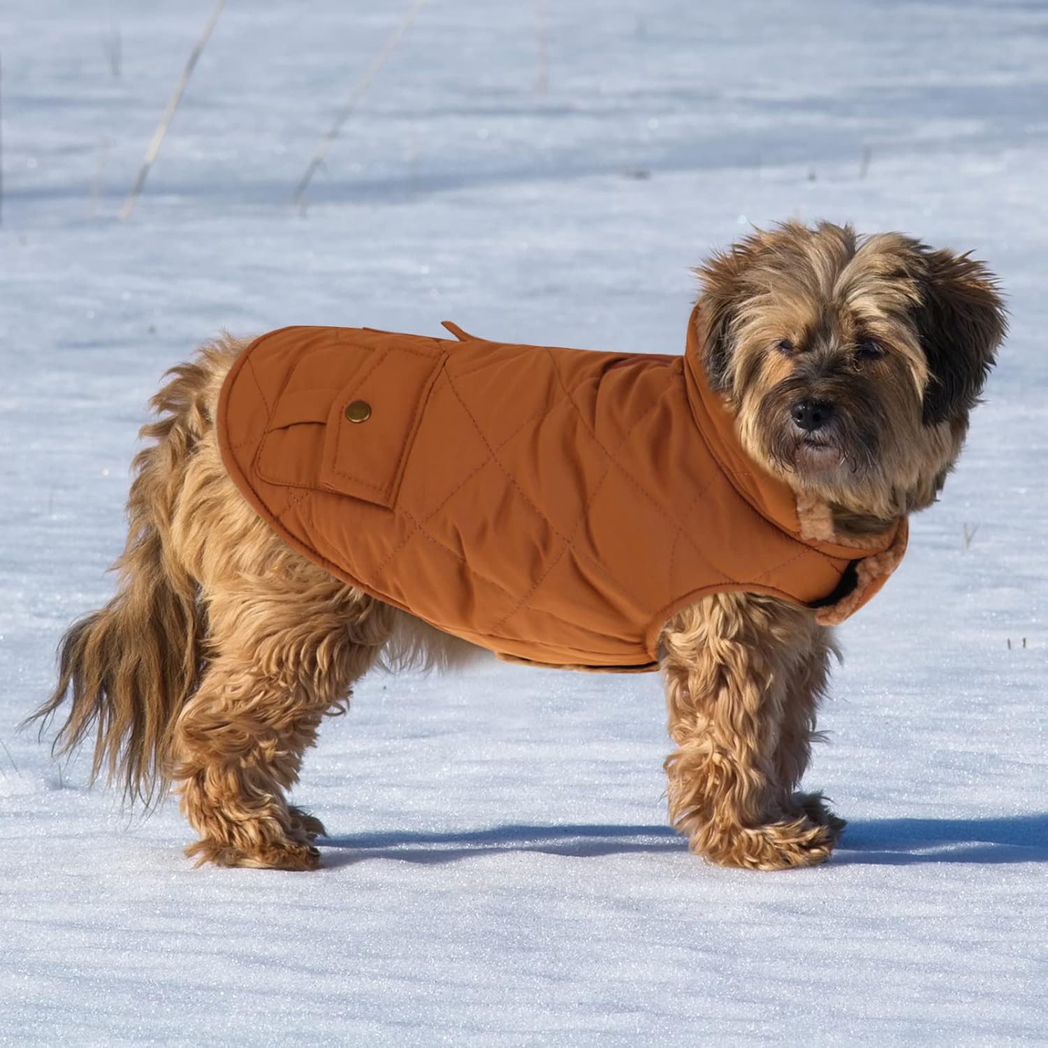 Queenmore-coat-small-2.jpg