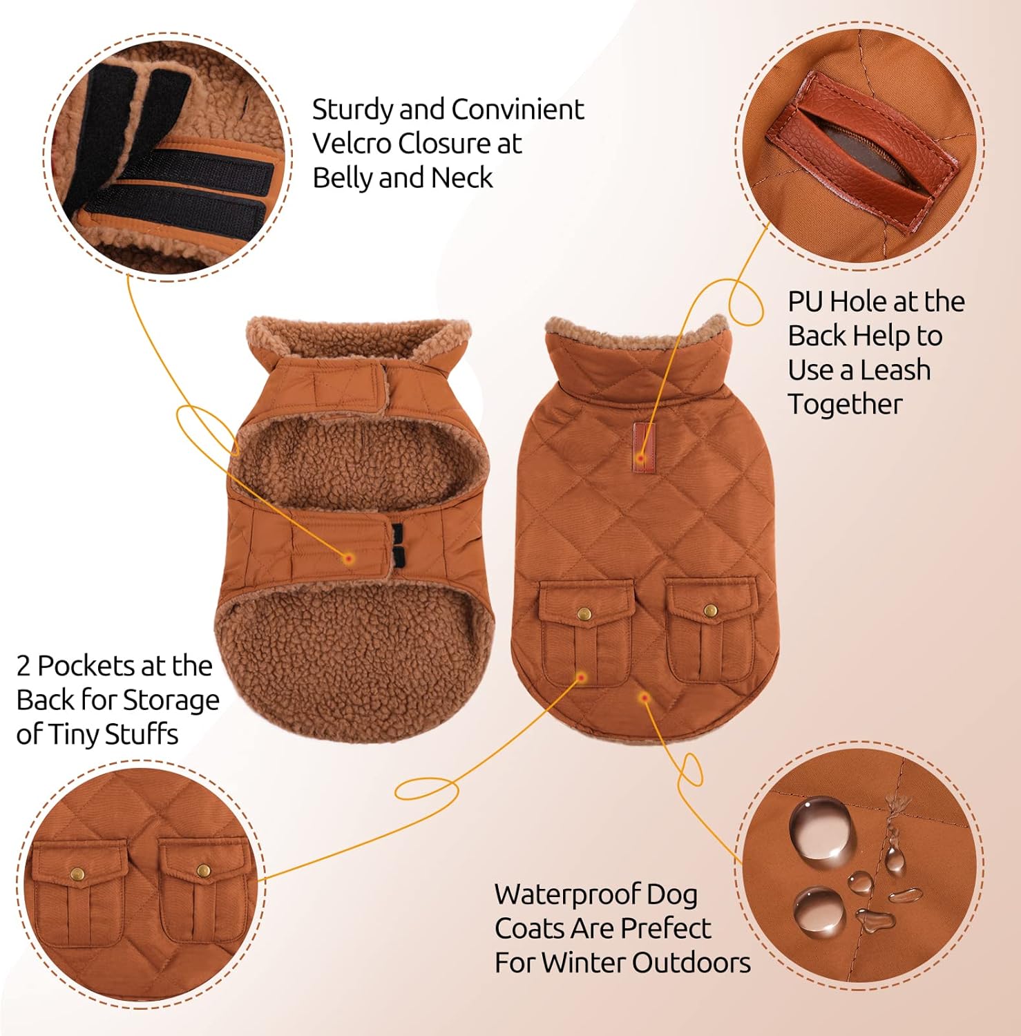 Queenmore-coat-small-4.jpg