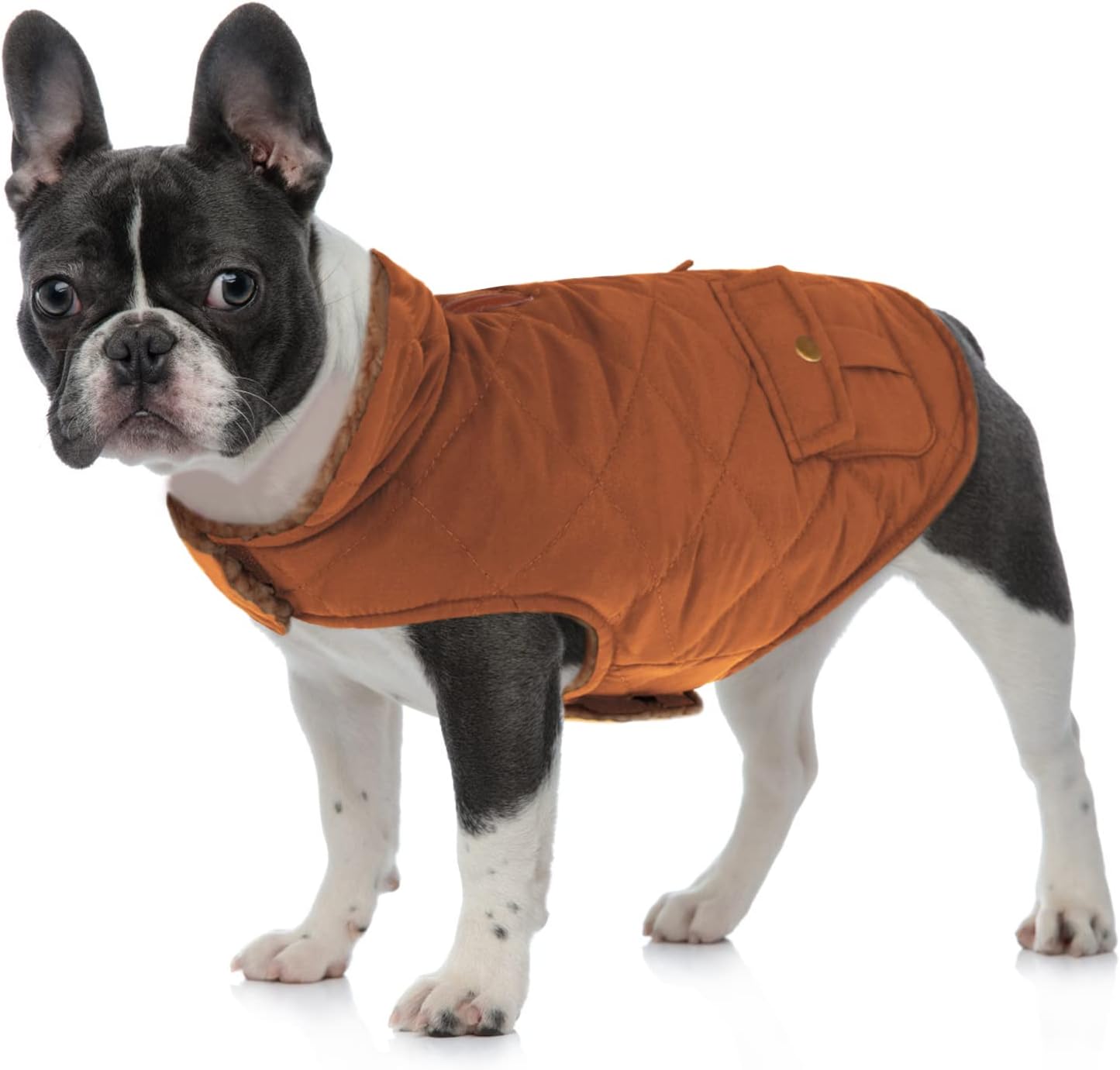 Queenmore-coat-small-7.jpg