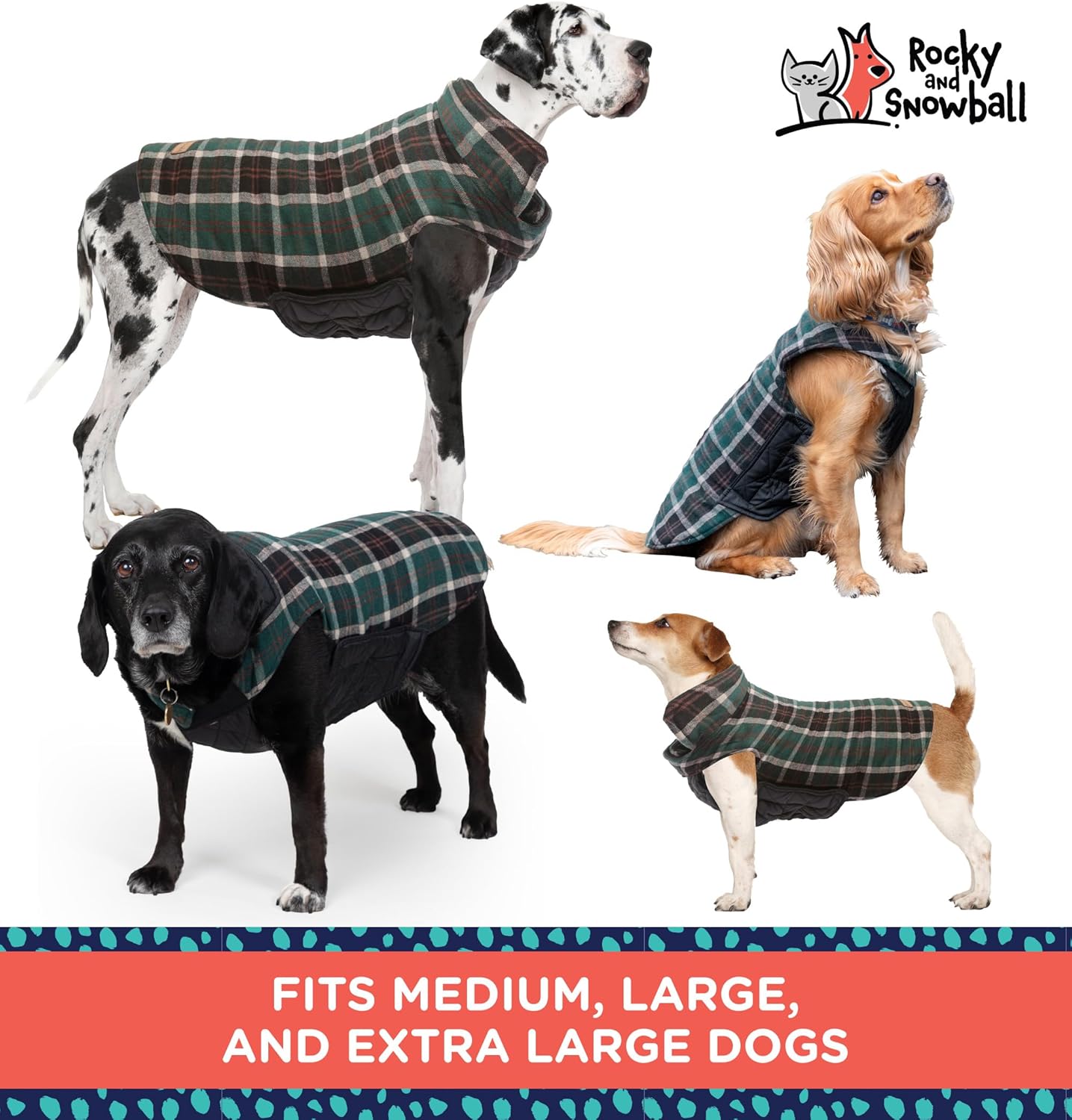 Rocky-large-coat-4.jpg