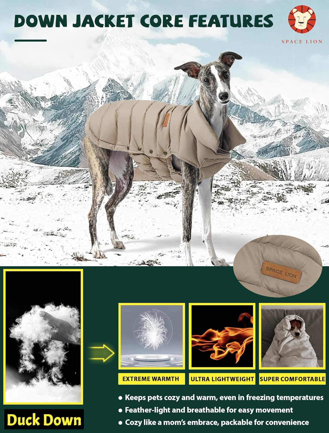 SPACE-LION-coat-large-4.jpg