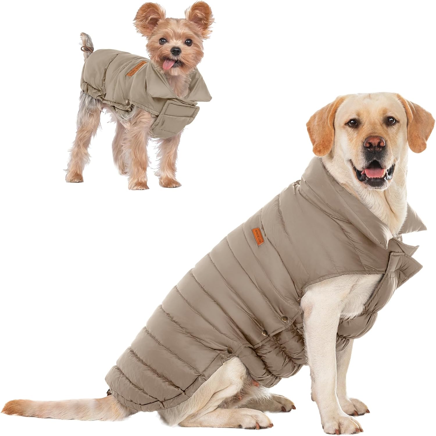 SPACE-LION-coat-large-main.jpg