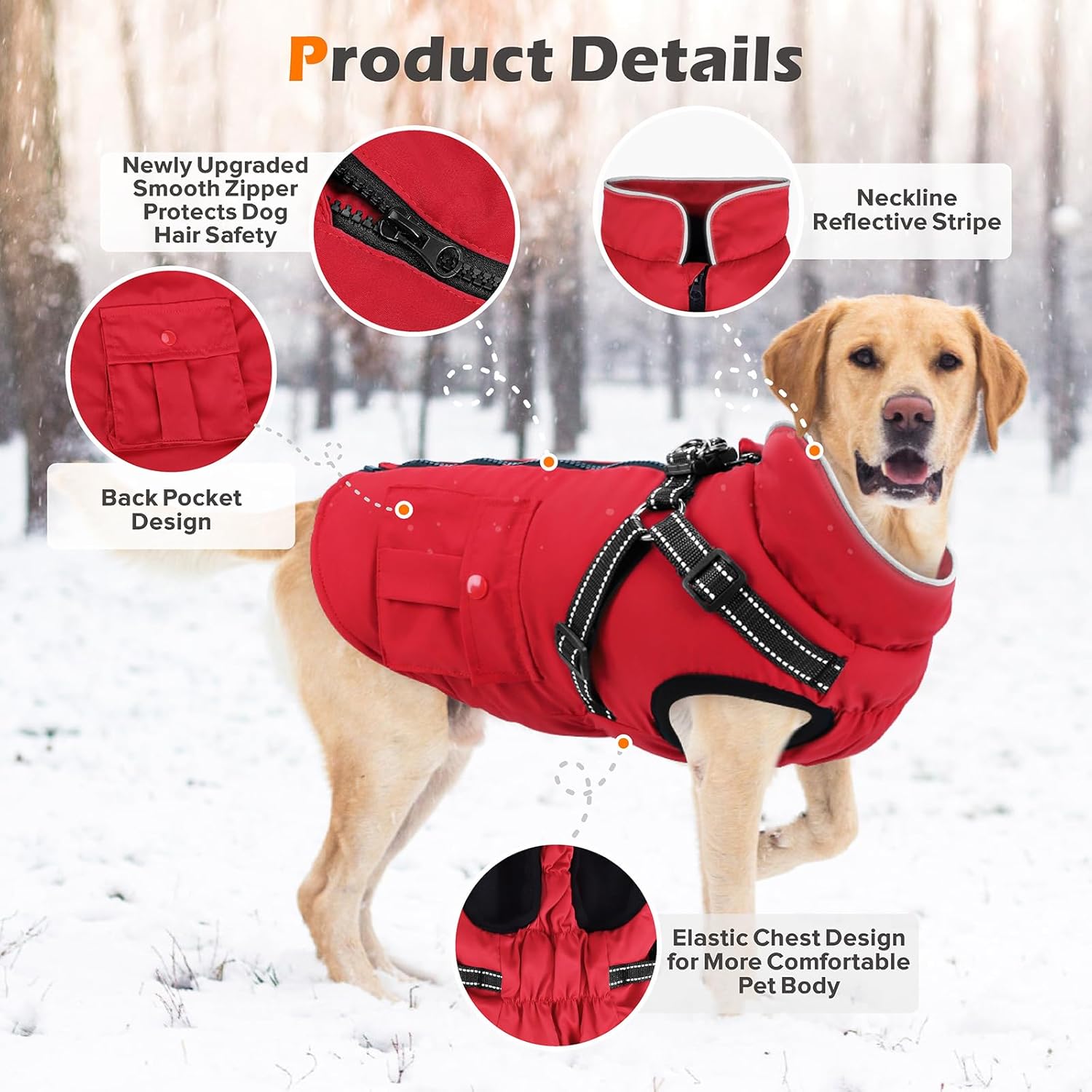 Winter-Coat-small-2.jpg