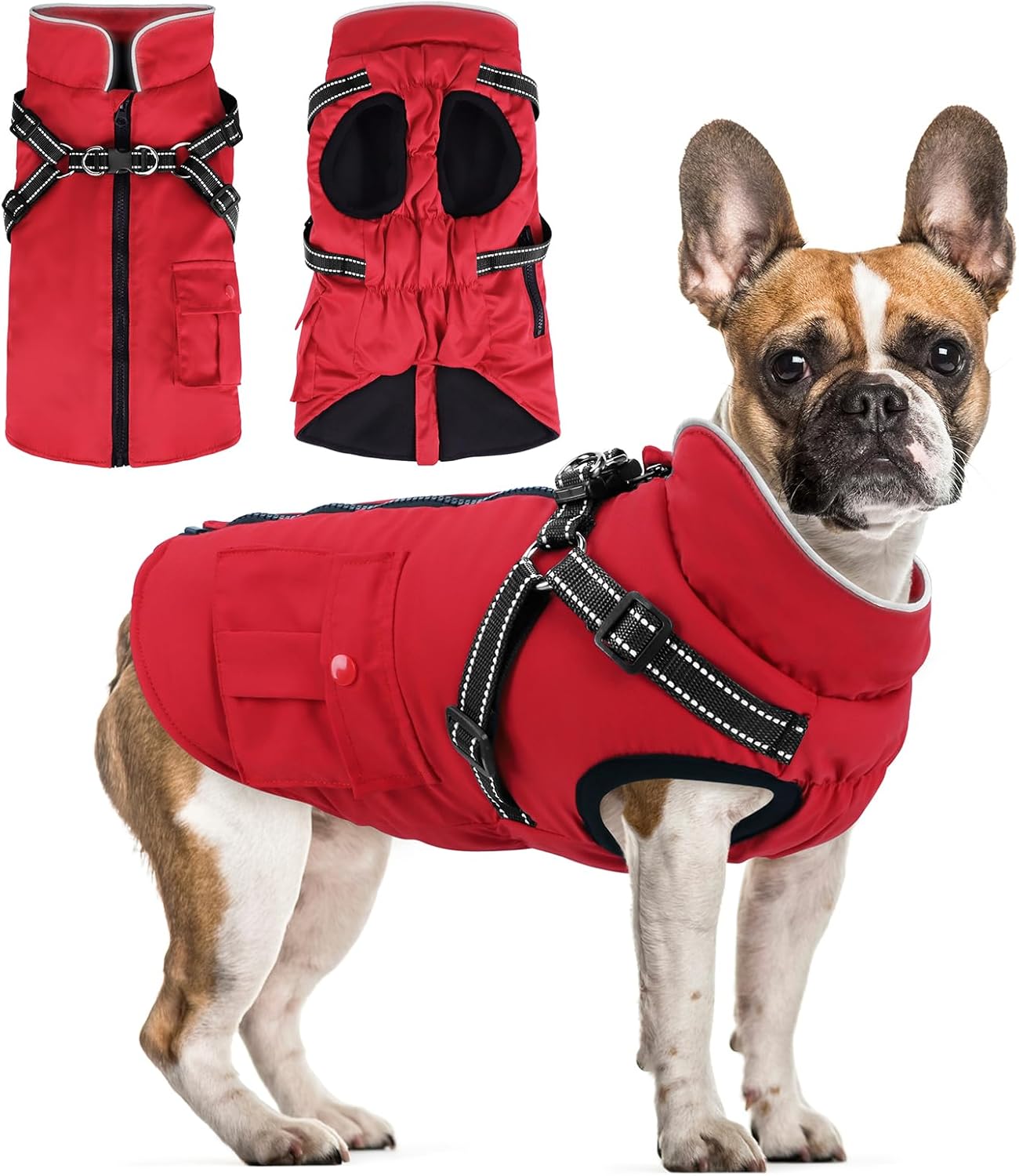 Winter-Coat-small-main.jpg